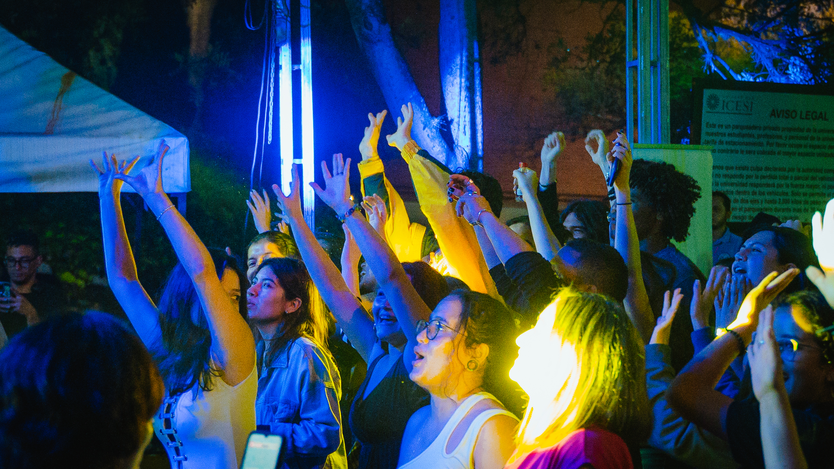 Descripción de la imagen