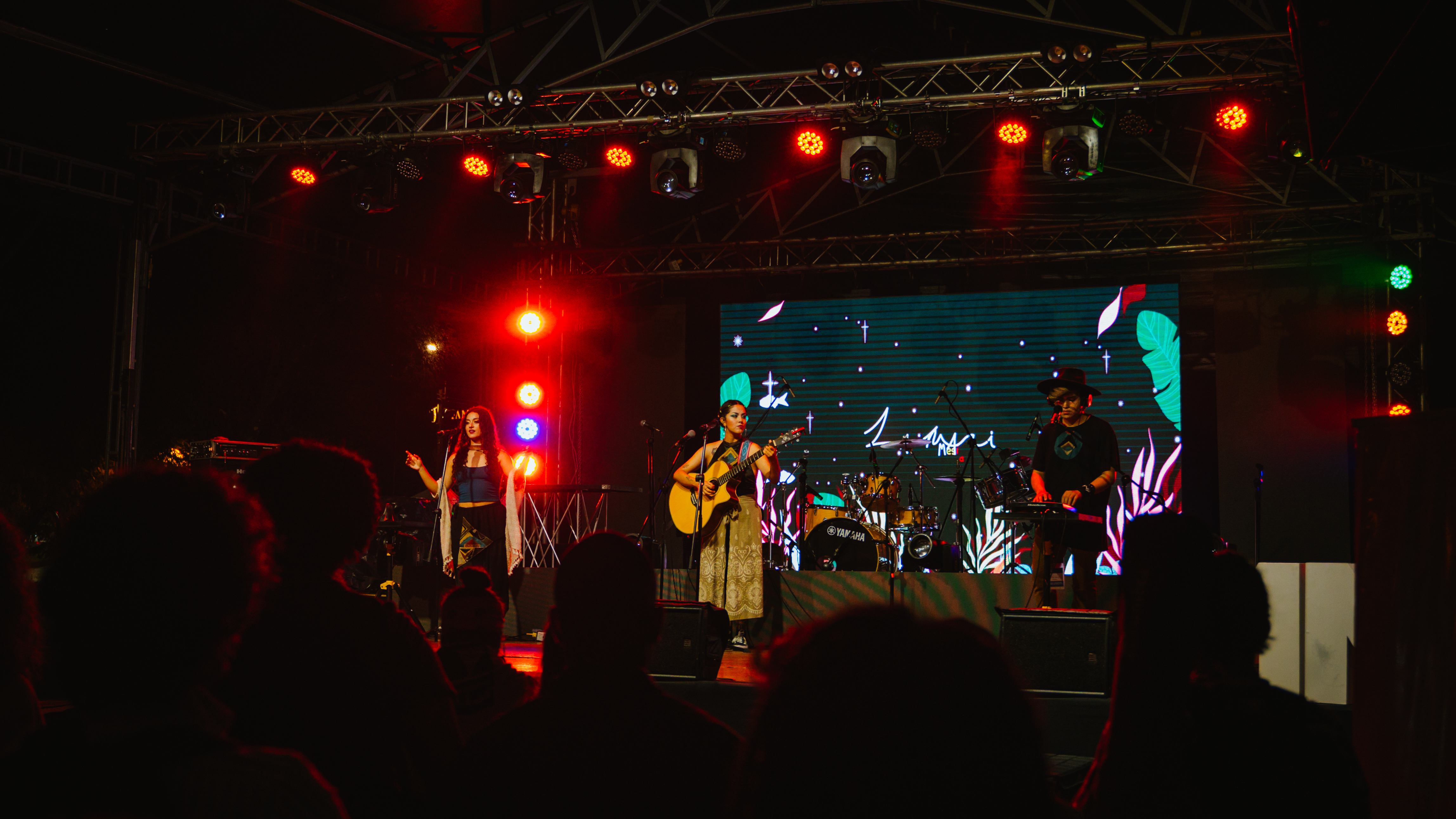 Descripción de la imagen