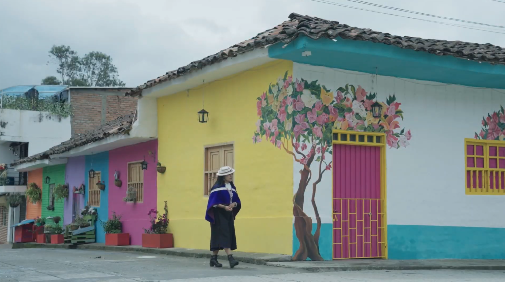 Descripción de la imagen