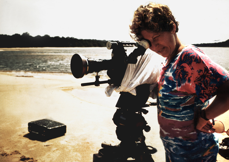 Descripción de la imagen