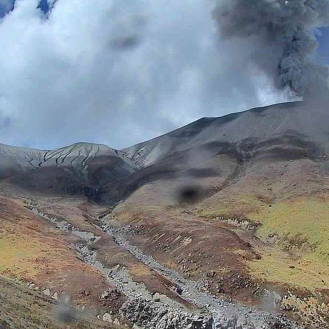 TP NOTICIAS A ESTA HORA