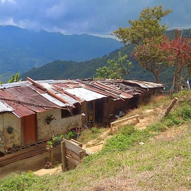 TP NOTICIAS A ESTA HORA