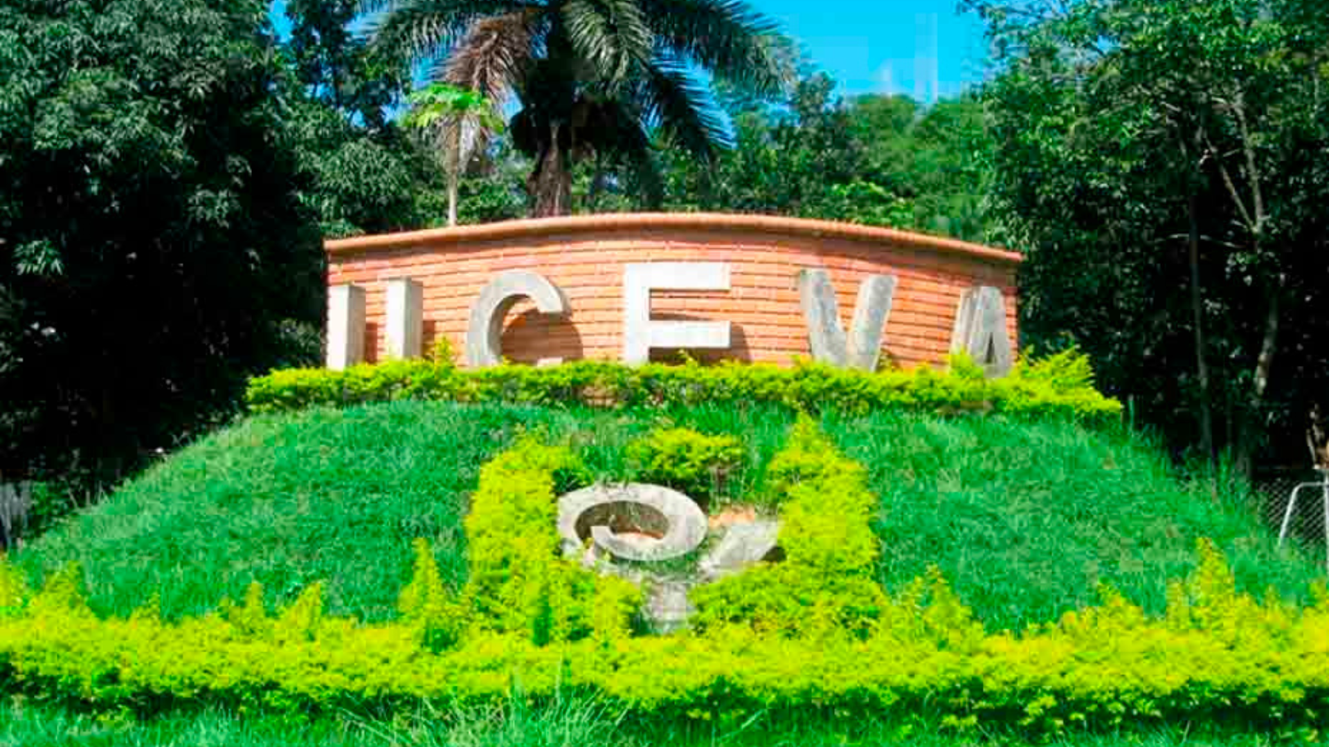 TP NOTICIAS A ESTA HORA