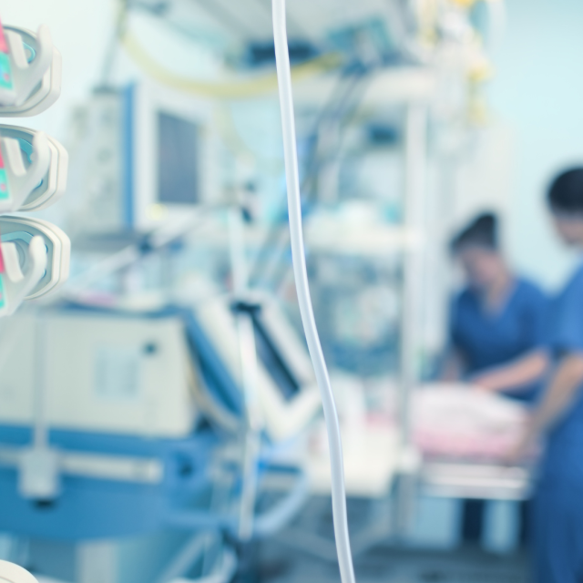 TP NOTICIAS A ESTA HORA