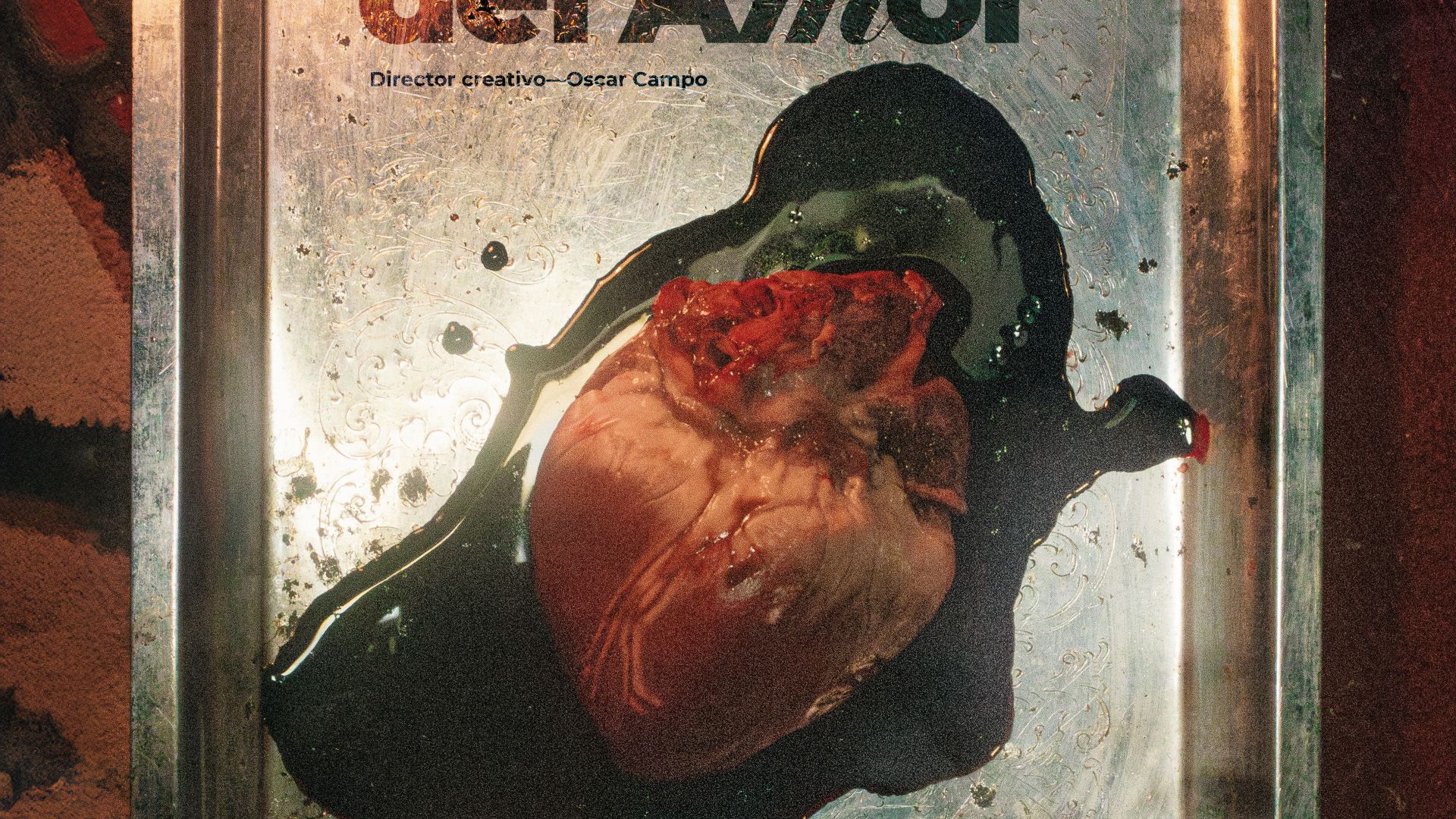 TP NOTICIAS A ESTA HORA