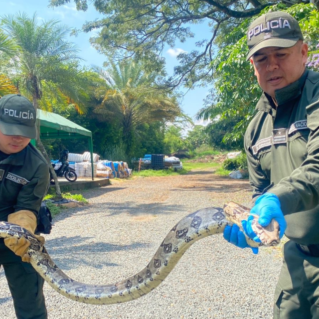 TP NOTICIAS A ESTA HORA