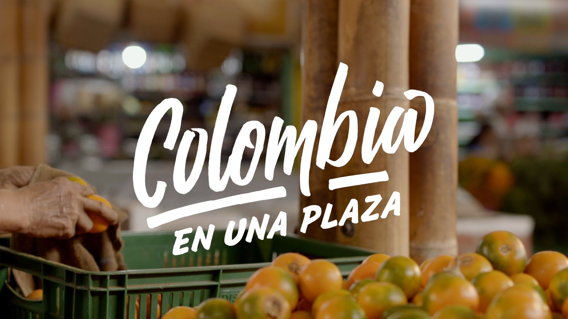 TP NOTICIAS A ESTA HORA