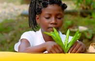 Niños de mi tierra: “Plantas aromáticas, Pie de Pepé”